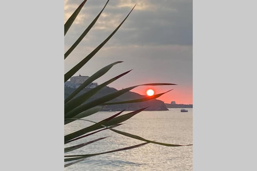 New Quay Beautiful 3 Bedroom Apartment By The Sea מראה חיצוני תמונה